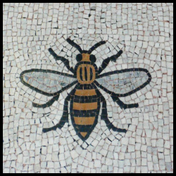 Why the bee?
